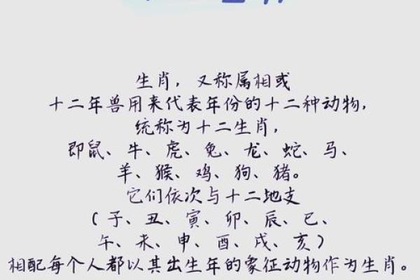 请问夯雀先飞”着个成语具体指的是十二生肖中的哪一个动物呢？