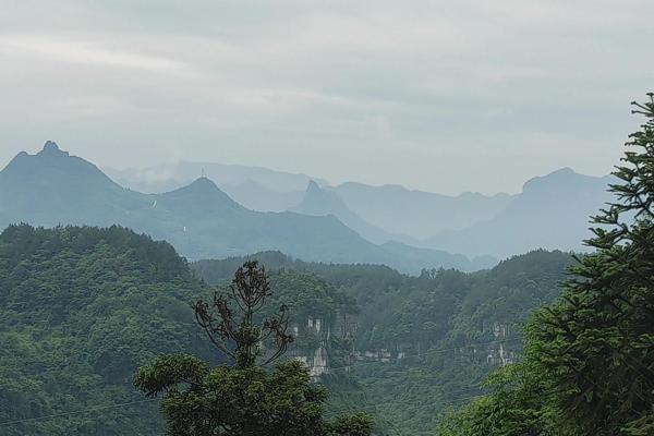 乙巳女命配偶为何极端 乙巳女漂亮吗
