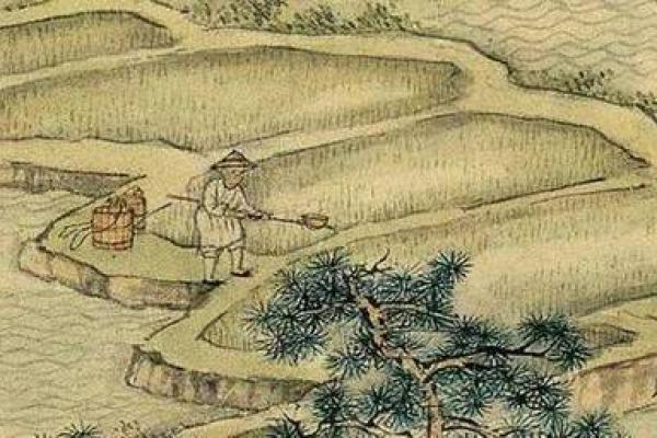 玉兔出宫有带宝打一最准生肖(玉兔出宫有带宝打一最准生肖龙)