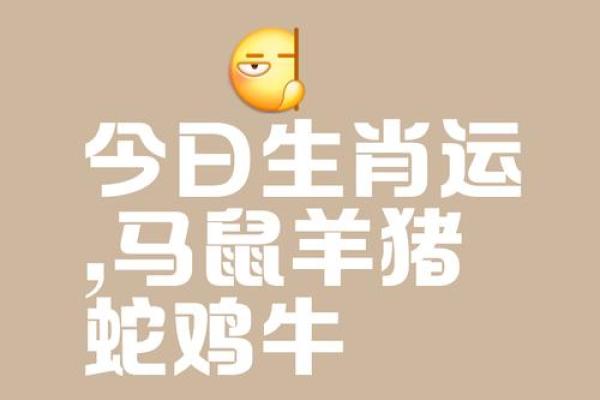 举重若轻代表什么生肖 举重若轻纯属打一生肖