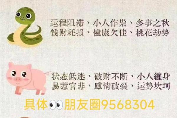 软硬不吃是什么生肖(软硬不吃是什么生肖)