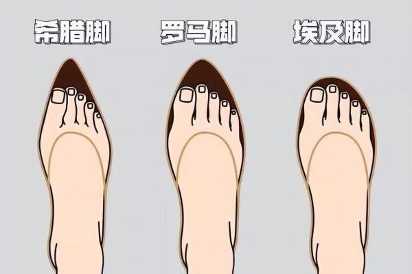 无名指为什么比食指长 无名指为什么比食指长很多