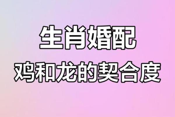 1965年属什么生肖配对最好 1965年属什么生肖配对最好婚姻