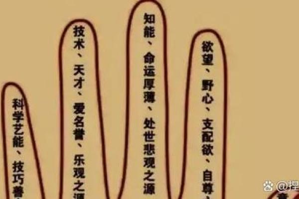 无名指比食指长的人占比多少 无名指比食指长的人是什么性格