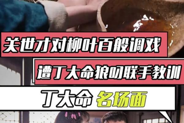 丁大命演员表全部