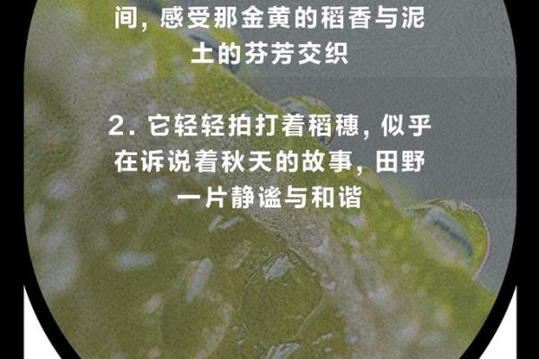 秋雨绵绵是什么生肖(秋雨绵绵是什么生肖,猜一个动物,正确解释,热点)