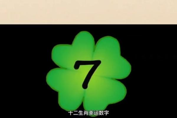一三二八是什么生肖 一三二八是什么生肖动物