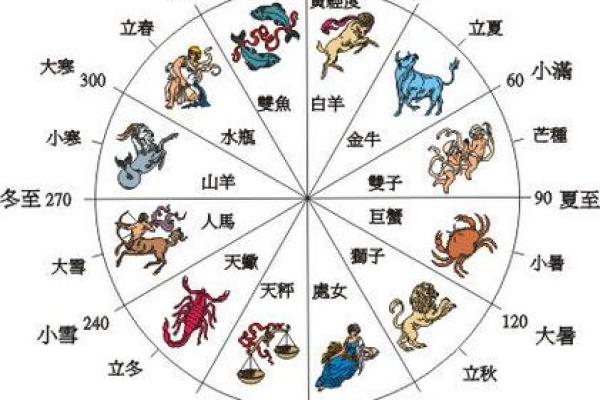 四时八节蚂蚁(四时八节打一动物生肖)