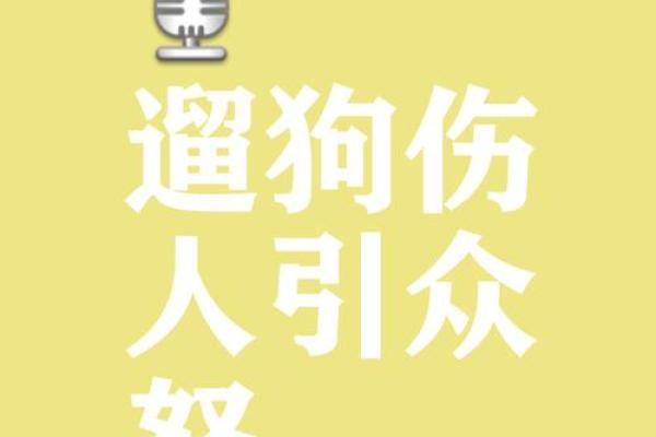 ‌收回成命打一生肖 → 狗‌（犬衔圣旨，收令而还）