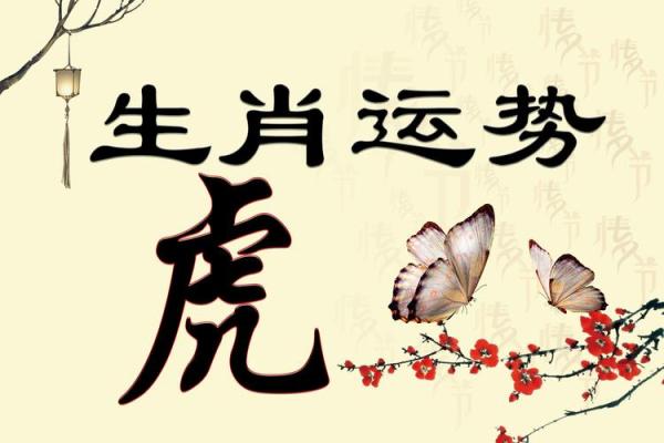 无所不有是什么生肖 无所不有什么生肖最佳