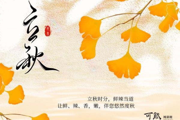 请问今年立秋的准确日期和具体时分是什么时候? 请问今年立秋的准确日期和具体时分是什么时候?