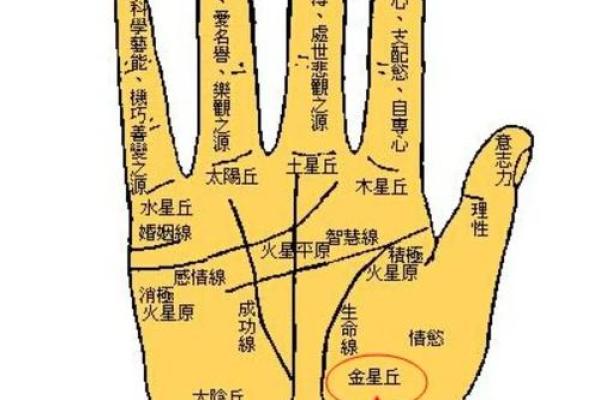 女人右手无名指比食指长代表什么意思 女人右手无名指有痣图解