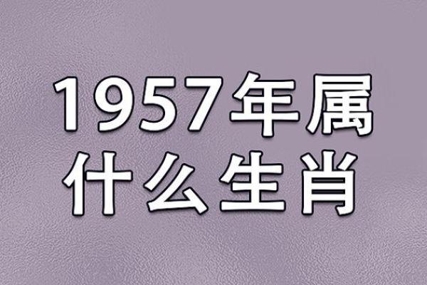 后宫三千是什么生肖