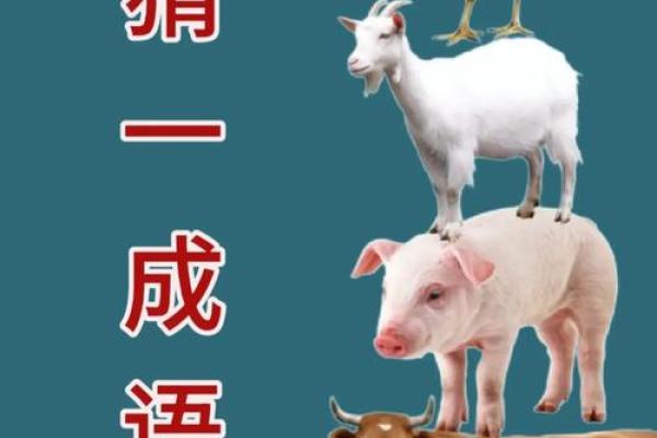鼠肚鸡肠着个成语具体指的是十二生肖中的哪一个动物呢？