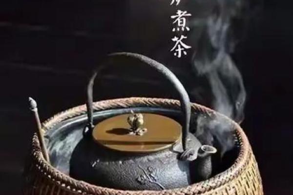 秋雨绵绵代表什么生肖？解析与天气相关的生肖寓意
