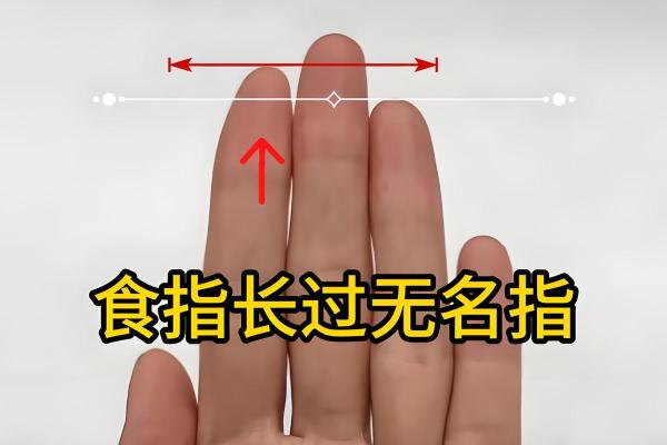 食指和无名指一样长 食指和无名指一样长有什么寓意