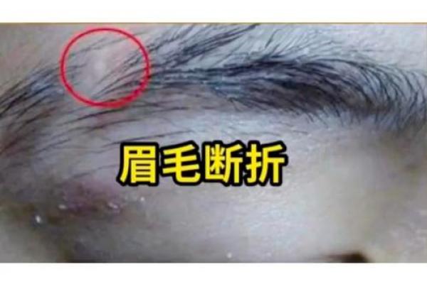 断眉毛的女人有啥说法 断眉的女人的命运