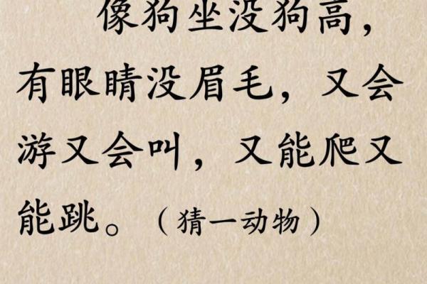 治乱扶危所指的生肖究竟是哪一个，完整谜语答案揭晓
