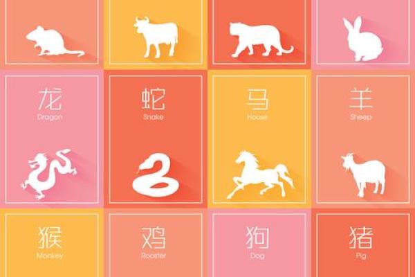 高大生肖是哪几个生肖 高大指什么生肖