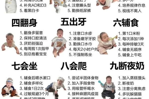 1年几个月 一年几个月几天