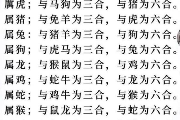 士兵解十二生肖哪个肖 士兵打一生肖