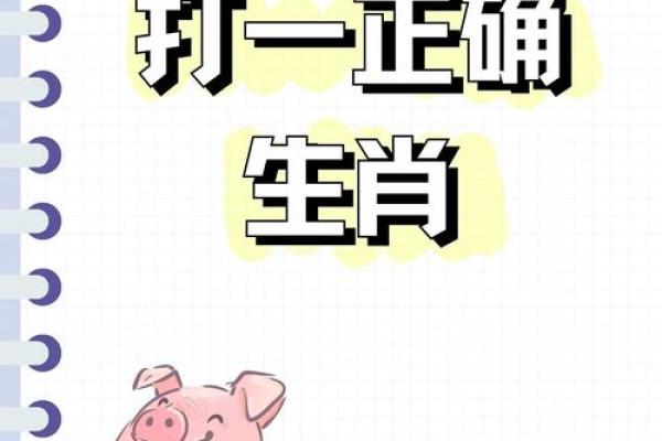 出双入对指的是什么生肖，着个成语代表哪两个动物？