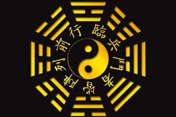 阴阳二分打一生肖