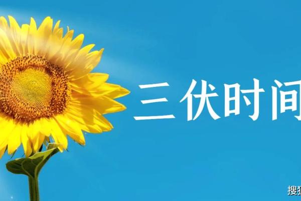 今年入伏是哪一天 今年入伏是哪一天如何计算的