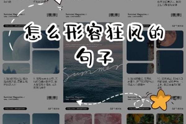 白天到处跑晚上找不到万物都需要
