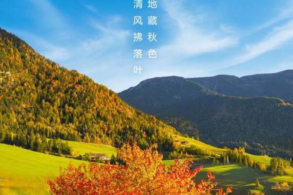 2021年秋分节气具体是在哪一天几月几号？