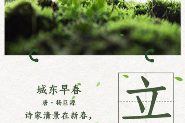 2020立春是哪一天(2020年立春是哪天)