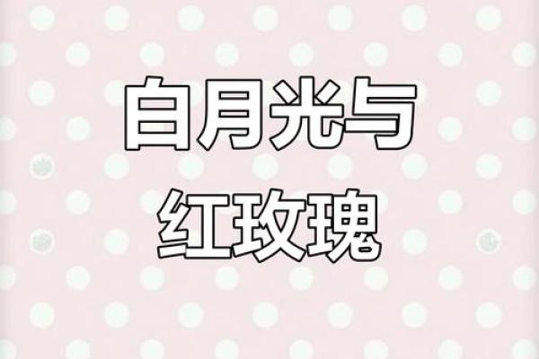 什么叫白月光,什么叫朱砂痣 你晓不晓得什么是白月光和朱砂痣