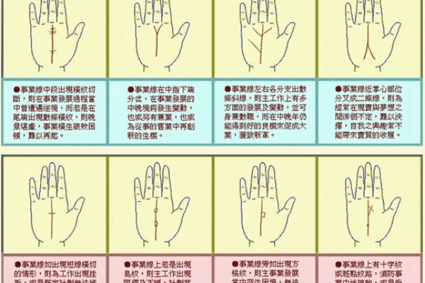头脑笨的人手相 脑子聪明手笨