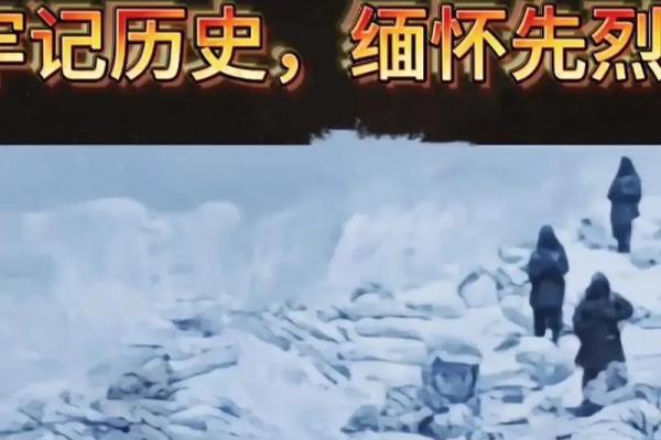12月24日被国家正式确立为什么纪念日或节日？