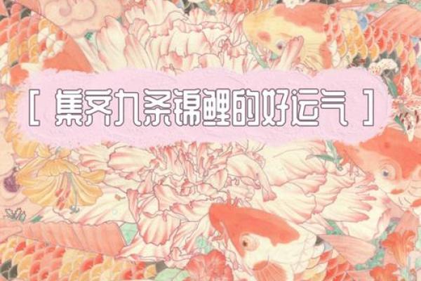 锦鲤又叫什么 锦鲤叫什么名字比较合适
