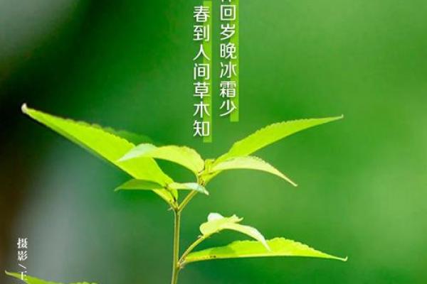 今天立春时间(今天立春时间是几点钟)