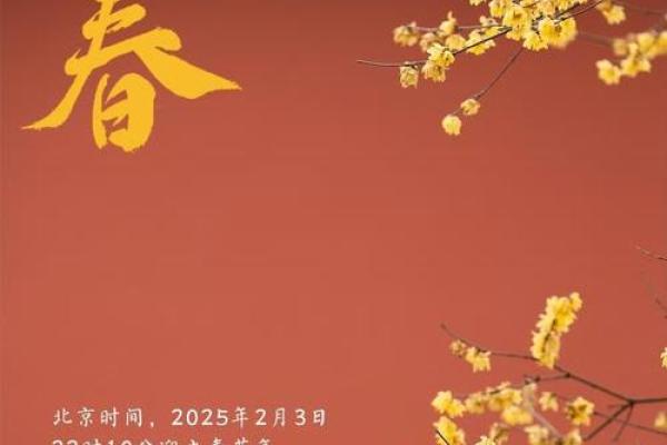 今天立春时间(今天立春时间是几点钟)