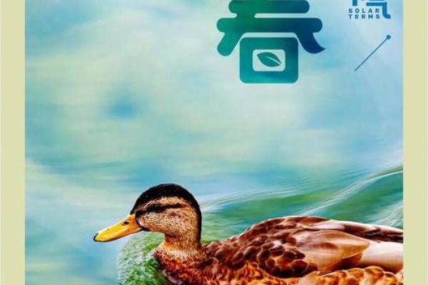请问2024年的立春节气是在公历的几月几号到来？