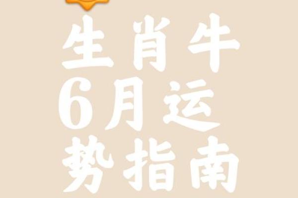 属牛的人出生在哪个月份财运和事业运最旺盛？