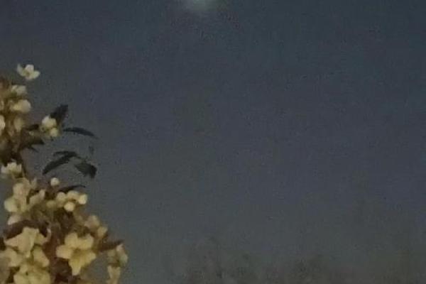 月掩金星天象在古代文化中象征着什么预兆或意义