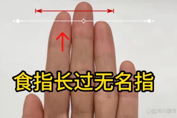 无名指比食指长的人少吗 无名指比食指长是天才吗