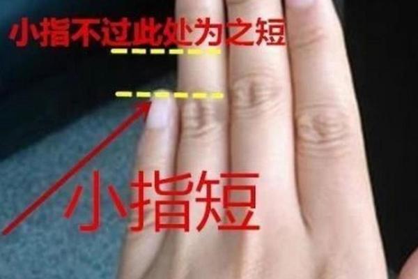 无名指比食指长代表啥 无名指比食指长有什么说法