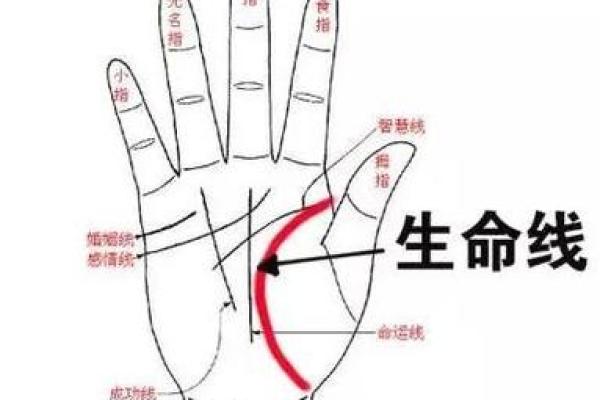 手相图解女右手(手相图解女右手父母宫)
