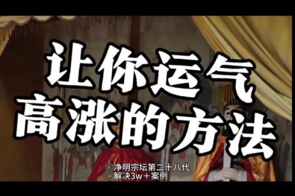 什么叫锦鲤体质 什么叫锦鲤体质