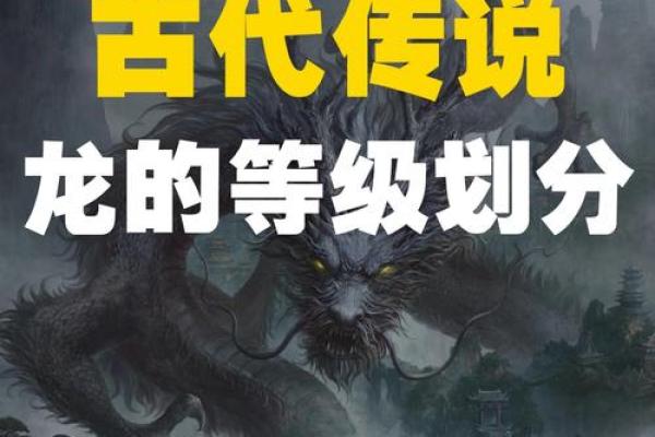 蛟龙仙缘最明显的征兆 蚺 蛟龙