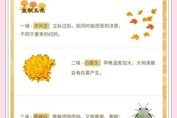 2018年立秋的准确日期是几月几日，有什么需要注意的习俗？