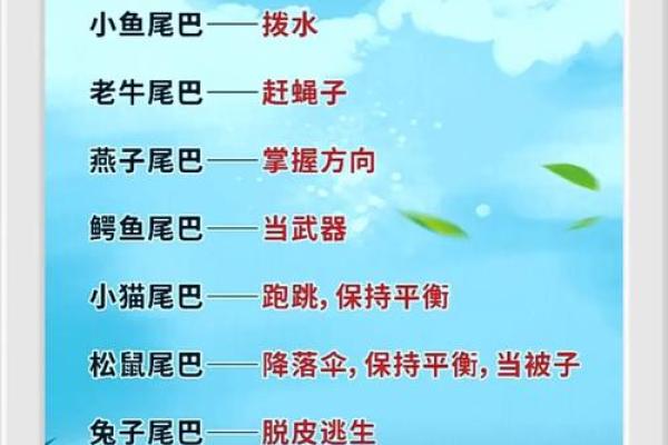 臭名昭著打一动物(臭名昭著打一动物正确答案)