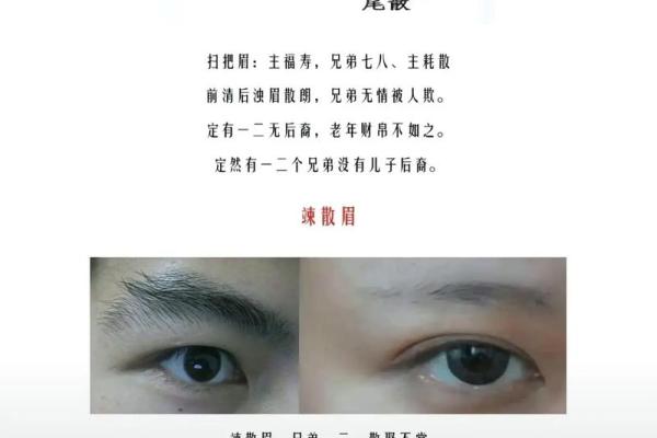 眉毛说法 面相学眉毛说法