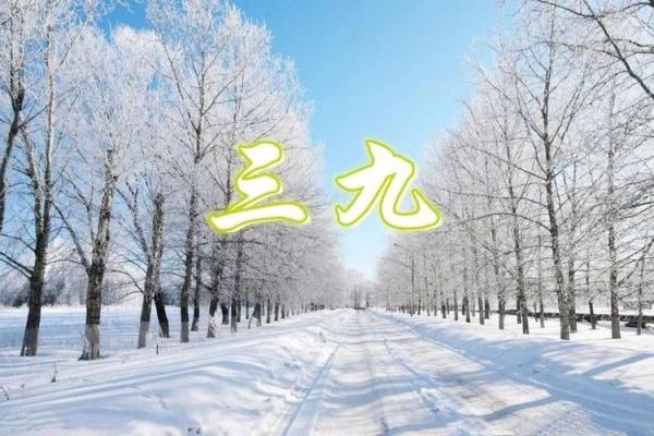 2021年一九至九九(2021年一九到三九)