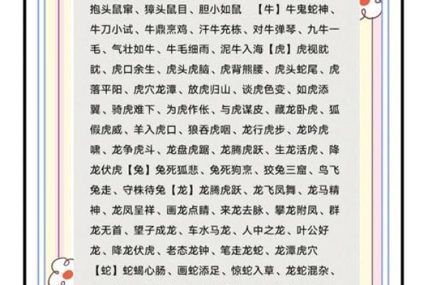 殊途同归最佳答案什么动物